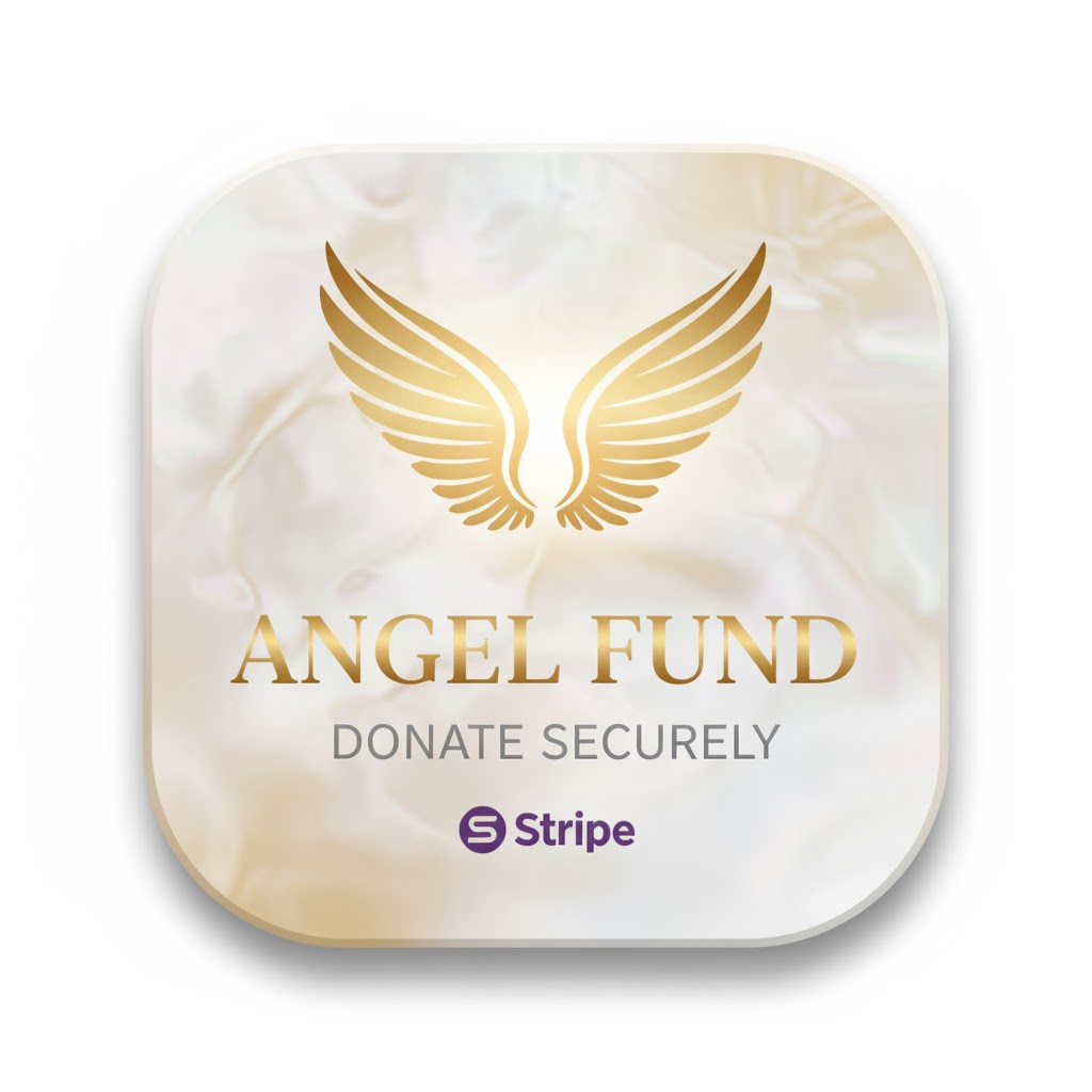 Angel Fund Donation Icon