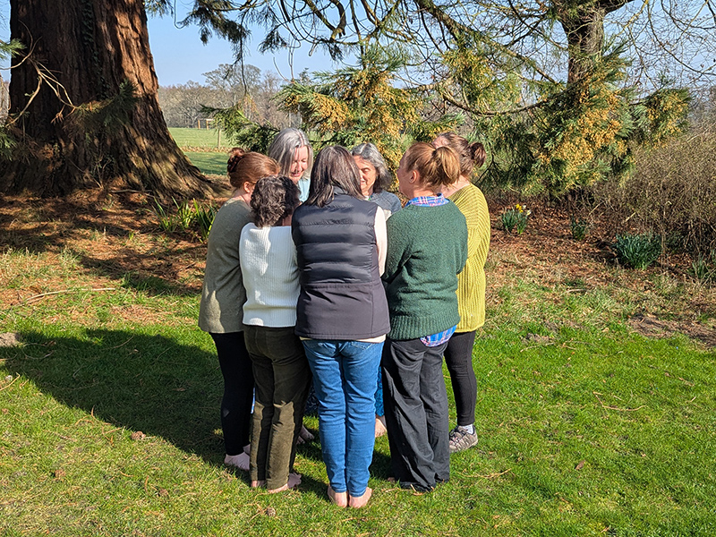 Group Therapist Mentoring with Carol Cumber